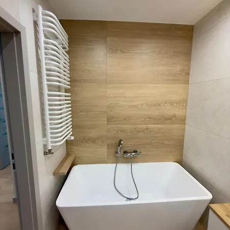 A Modern With Air Conditioning And A Balcony * Kraków
